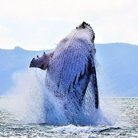 Lake Central Cairns Luaran gambar